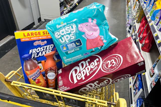 dollar general groceries in shopping cart