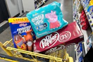dollar general groceries in shopping cart
