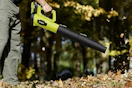 leaf blower