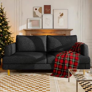 Loveseat Sofa Couch