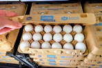 hand holding a carton of kroger eggs