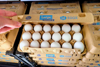 hand holding a carton of kroger eggs