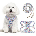 Dog Harness and Leash Set