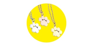 until gone stainless steel dog paw pendant necklace featured image 2023 1679592918 1679592918