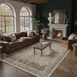 Washable Area Rug