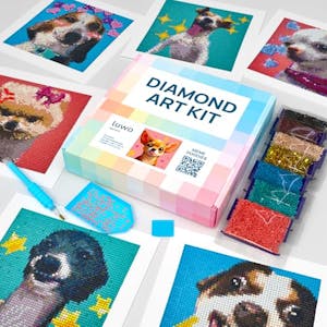 Diamond Painting Kits 6-Pack