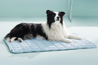 Bedsure Dog Cooling Mat