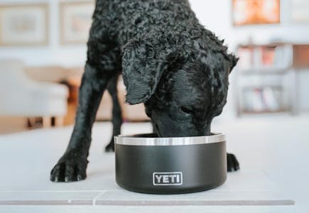 Super Chewer Subscription