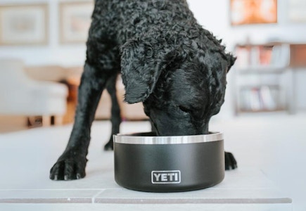 Super Chewer Subscription