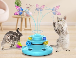 two cats playing with a blue interactive cat toy 