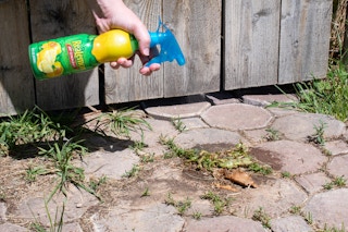 Douse weeds between concrete or bricks with lemon juice.