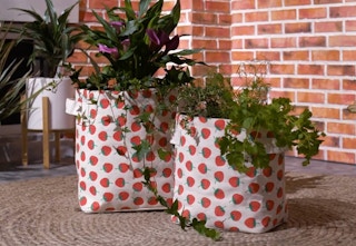 qvc-canvas-planters-2023-1