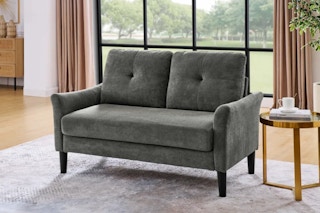 Wayfair Winston Porter Loveseat Sofa feature image