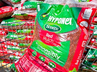 red Hyponex by Scott's mulch