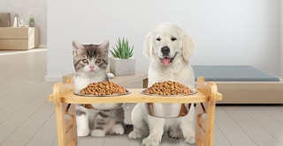 amazon pet bowl 1686249394 1686249394 e1686249516245