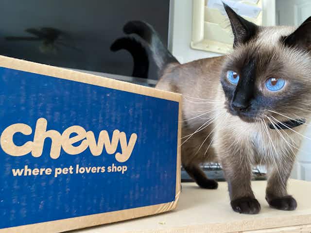 14 Brilliant Tweaks to Save on Pet Supplies at Chewy card image