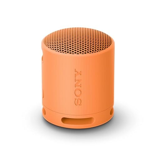 Sony SRS-XB100 Portable Speaker