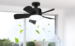 Get a Socket Fan Light for Only $14.99 on Amazon card image