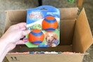 amazon-chuck-it-balls