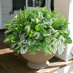 Artificial Greenery Plants