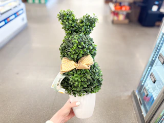 aldi-topiary-1