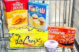 groceries in a shopping cart