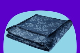 Grab This Velvet Plush Queen Blanket for $16.47 at Walmart Before It's Gone card image