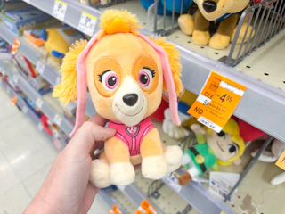 walgreens paw patrol clearance
