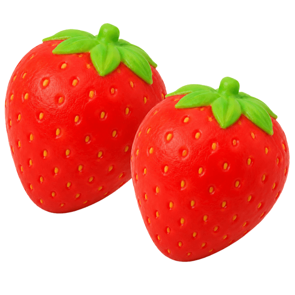 Strawberry Sensory Fidget Toys 2-Pack