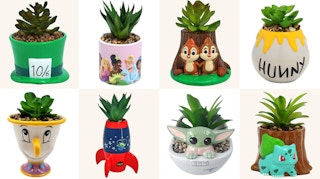 boxlunch-character-succulents-august-2022-1