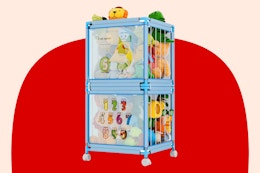 Rolling Toy Storage Bin, Only $40 at Walmart (Reg. $130) card image