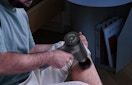 a person using a massage gun on their leg