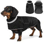 Dog Winter Coat