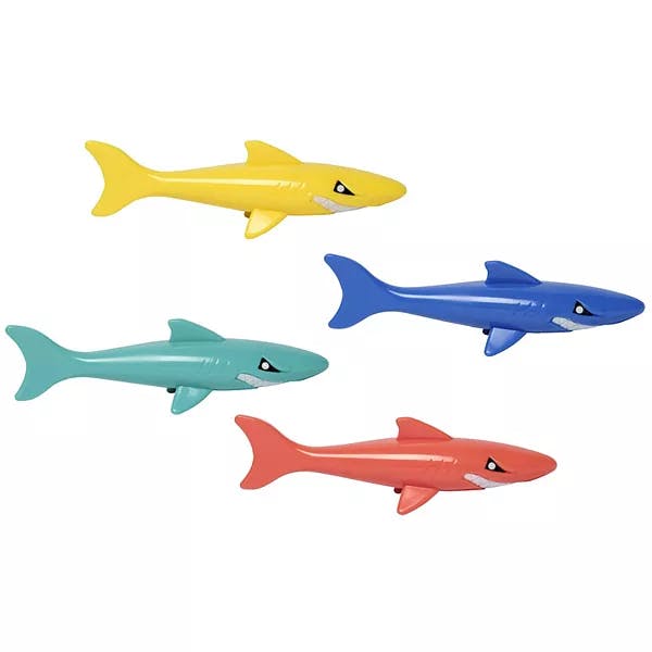 Coconut Grove Shark Dive Racers