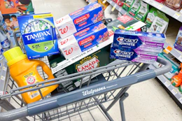 walgreens groceries in shopping cart