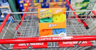 costco scrub daddy 1685984099 1685984099