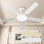 Ceiling Fan with Light
