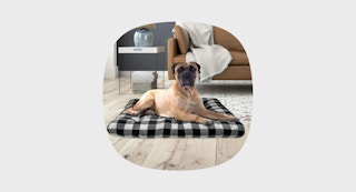 walmart vibrant life xl dog bed collage 1693400122 1693400122