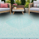 Indoor Outdoor Rug