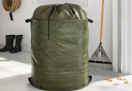 target brightroom lawn bag