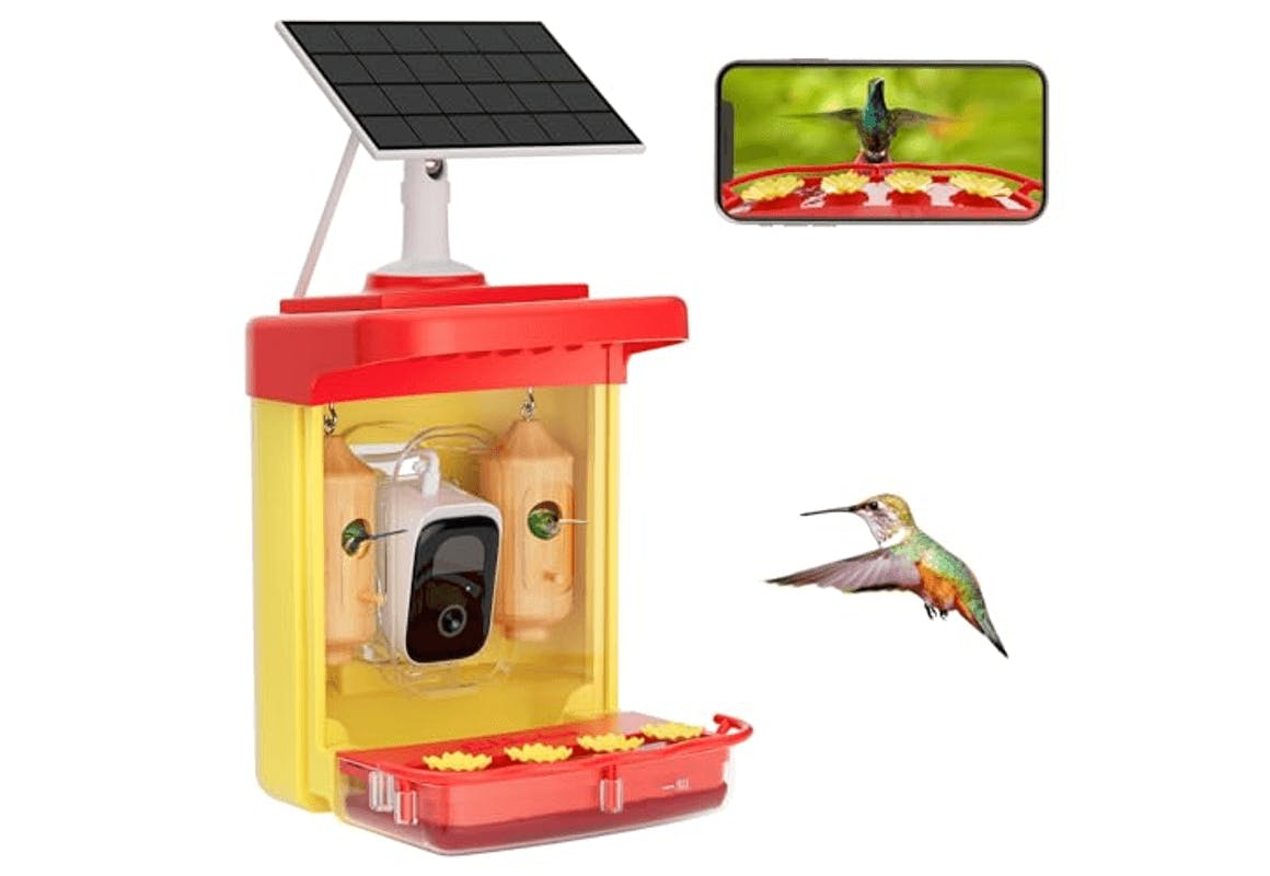 Smart Hummingbird Feeder