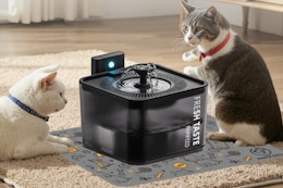 Top-Rated Wireless Cat Water Fountain, $11 After Amazon Coupon (Reg. $34) card image