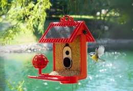 Save $220 on This Smart Bird Feeder —  Now Just $80 (Was $300) card image