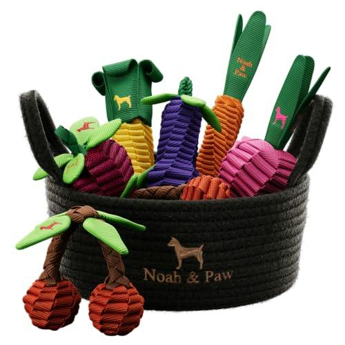 Noah & Paw Dog Toy Gift Basket