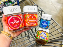hand holding Olly Focus and Probiotic+Prebiotic contains in front of the Stress and Kids' Multi bottles