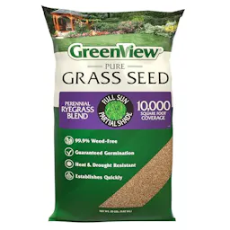 Perennial Ryegrass Seed