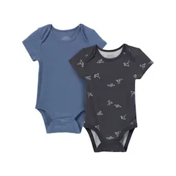 Baby Short Sleeve Bodysuits 2-Pack
