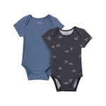 Baby Short Sleeve Bodysuits 2-Pack