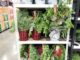 costco holiday greens outdoor planter nov 2022 1669118009 1669118010