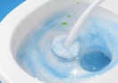 a toilet wand cleaning a toilet 